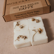 Load image into Gallery viewer, Monthly Wax Melt Club
