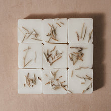Load image into Gallery viewer, • Focus •&lt;br&gt;Basil, Lemon, Peppermint &amp; Rosemary&lt;br&gt;9 scented wax melts
